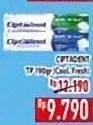 Promo Harga Ciptadent Pasta Gigi Maxi 12 Plus Cool Mint, Fresh Mint 190 gr - Hypermart