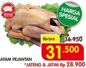 Promo Harga Ayam Pejantan  - Superindo