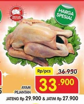 Promo Harga Ayam Pejantan  - Superindo