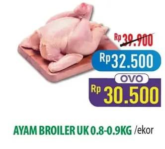 Promo Harga Ayam Broiler 800 gr - Hypermart