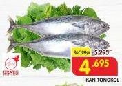 Promo Harga Ikan Tongkol per 100 gr - Superindo