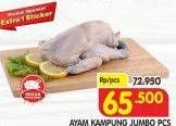 Promo Harga Ayam Kampung Jumbo  - Superindo