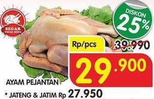 Promo Harga Ayam Pejantan  - Superindo