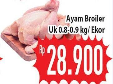 Promo Harga Ayam Broiler  - Hypermart