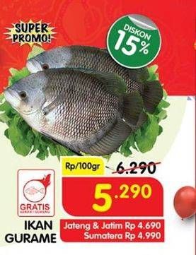 Promo Harga Ikan Gurame per 100 gr - Superindo