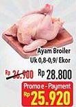 Promo Harga Ayam Broiler Utuh  - Hypermart