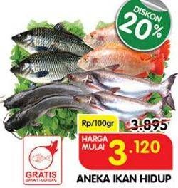 Promo Harga Aneka Ikan Segar  - Superindo