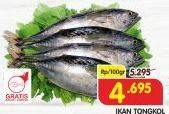 Promo Harga Ikan Tongkol per 100 gr - Superindo