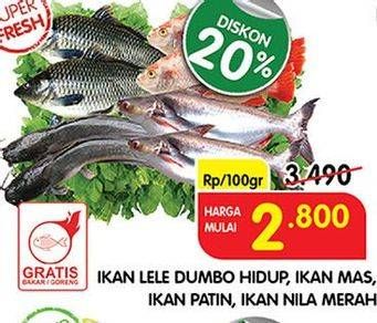 Promo Harga Ikan Lele Dumbo Hidup, Ikan Mas, Ikan Patin, Ikan Nila Merah  - Superindo