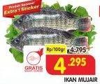 Promo Harga Ikan Mujair per 100 gr - Superindo