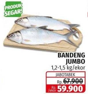 Promo Harga Ikan Bandeng Jumbo  - Lotte Grosir