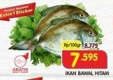 Promo Harga Ikan Bawal Hitam per 100 gr - Superindo