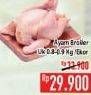 Promo Harga Ayam Broiler 900 gr - Hypermart