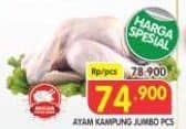 Promo Harga Ayam Kampung 1000 gr - Superindo