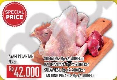 Promo Harga Ayam Pejantan  - Hypermart