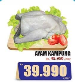 Promo Harga Ayam Kampung 500 gr - Hari Hari