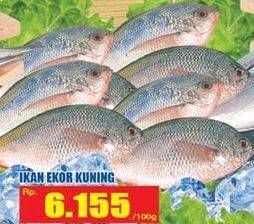 Promo Harga Ikan Ekor Kuning per 100 gr - Hari Hari