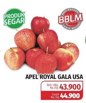 Promo Harga Apel Royal Gala USA  - Lotte Grosir