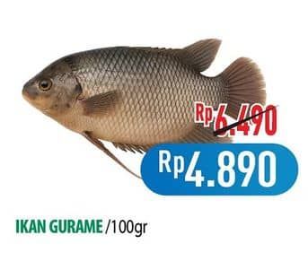 Promo Harga Ikan Gurame per 100 gr - Hypermart