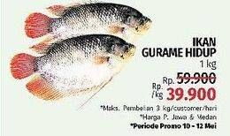 Promo Harga Ikan Gurame Hidup  - LotteMart