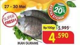 Promo Harga Ikan Gurame per 100 gr - Superindo