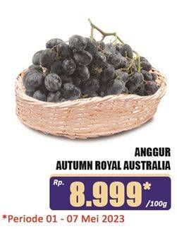 Promo Harga Anggur Autumn Royal Australia per 100 gr - Hari Hari