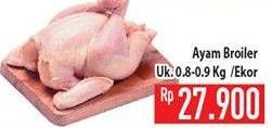 Promo Harga Ayam Broiler  - Hypermart