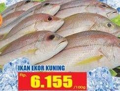 Promo Harga Ikan Ekor Kuning per 100 gr - Hari Hari