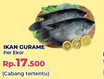 Promo Harga Ikan Gurame  - Yogya