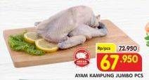 Promo Harga Ayam Kampung Jumbo  - Superindo