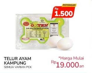 Promo Harga Telur Ayam Kampung All Variants 6 pcs - Indomaret