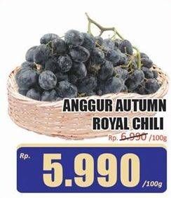 Promo Harga Anggur Autumn per 100 gr - Hari Hari