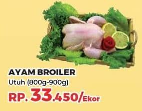 Promo Harga Ayam Broiler 800 gr - Yogya