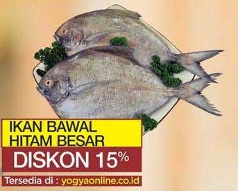 Promo Harga Ikan Bawal Hitam Besar per 100 gr - Yogya