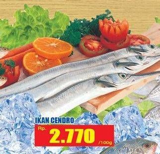 Promo Harga Ikan Cendro per 100 gr - Hari Hari