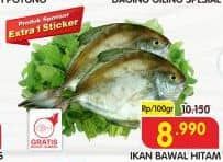 Promo Harga Ikan Bawal Hitam per 100 gr - Superindo