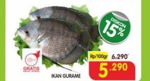 Promo Harga Ikan Gurame per 100 gr - Superindo