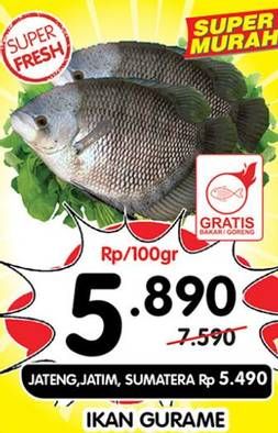 Promo Harga Ikan Gurame per 100 gr - Superindo