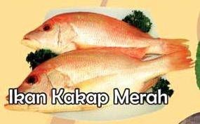 Promo Harga Ikan Kakap Merah Besar per 100 gr - Yogya