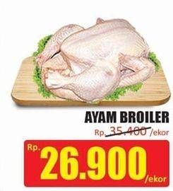 Promo Harga Ayam Broiler  - Hari Hari
