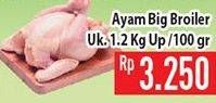 Promo Harga Ayam Broiler per 100 gr - Hypermart