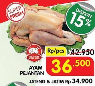 Promo Harga Ayam Pejantan 500 gr - Superindo