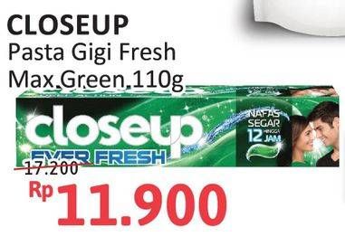 Promo Harga Close Up Pasta Gigi Everfresh Menthol Fresh 110 gr - Alfamidi