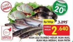 Promo Harga Ikan Lele Dumbo Hidup/Ikan Mas/Ikan Nila/Ikan Patin  - Superindo