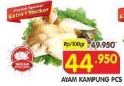 Promo Harga Ayam Kampung  - Superindo