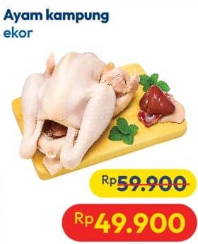 Promo Harga Ayam Kampung 500 gr - Hypermart