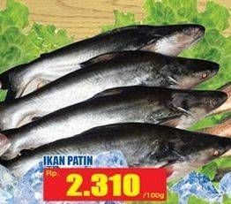 Promo Harga Ikan Patin per 100 gr - Hari Hari