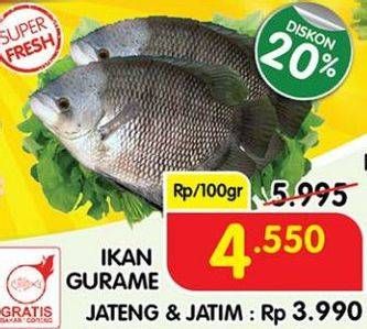 Promo Harga Ikan Gurame per 100 gr - Superindo