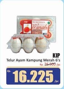 Promo Harga KIP Telur Ayam Kampung Merah 6 pcs - Hari Hari
