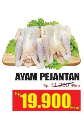 Promo Harga Ayam Pejantan  - Hari Hari